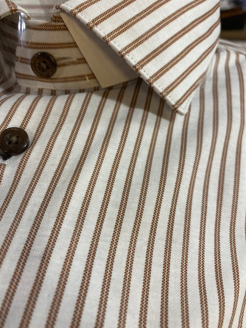 Matinique Brown Pinstripe Shirt