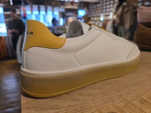 Ambitious Hans Off White Mustard