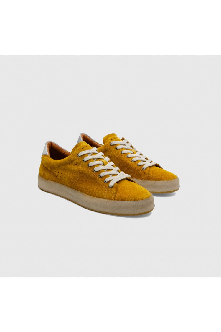 Ambitious Mustard Vander